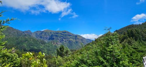 a hillside with trees and mountains in the background at Valley View Hotel Encumeada in Senhora do Rosário