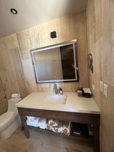 a bathroom with a sink and a toilet and a mirror at Hotel Flores de Sal-Valle de Guadalupe in Valle de Guadalupe