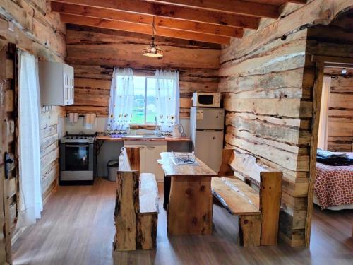 a kitchen in a log cabin with a wooden wall at Cabañas Los Tatas in Puerto Octay
