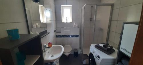 a bathroom with a sink and a toilet and a shower at Ferienwohnung Fichtelgebirge in Brand