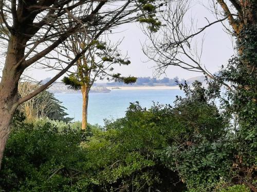 a view of a body of water with trees at L'Ancienne Saboterie in Plorec-sur-Arguenon