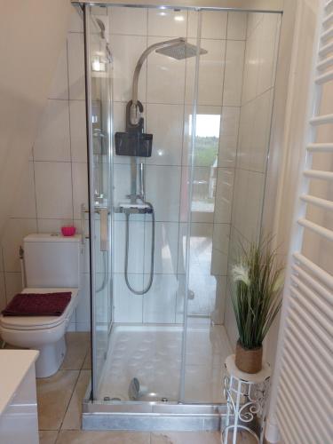 a shower stall in a bathroom with a toilet at TIPI de LOUIS in Sarlande