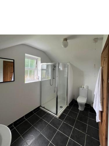 a bathroom with a shower and a toilet at The Portsalon House in Cloghfin