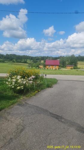 a road with a house in the distance with flowers at Holiday home Tūjas in Krāslava