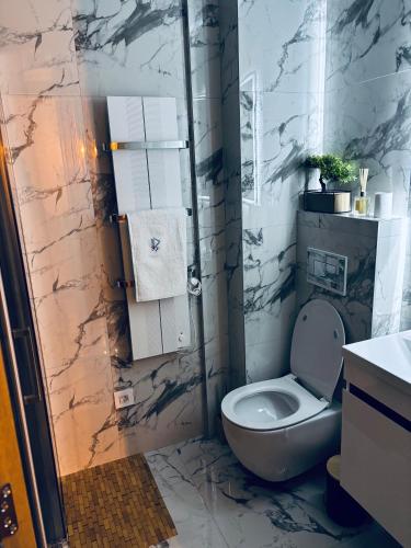 a bathroom with a toilet and a sink at Davos in Zlatibor