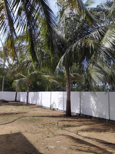 two palm trees in front of a white fence at Nachchi Sweet Beach Stay in Nilaveli