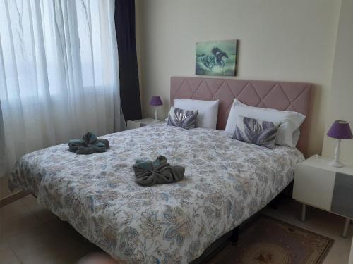 a bedroom with a large bed with two bowls on it at Ocean Orchidea in Puerto de la Cruz