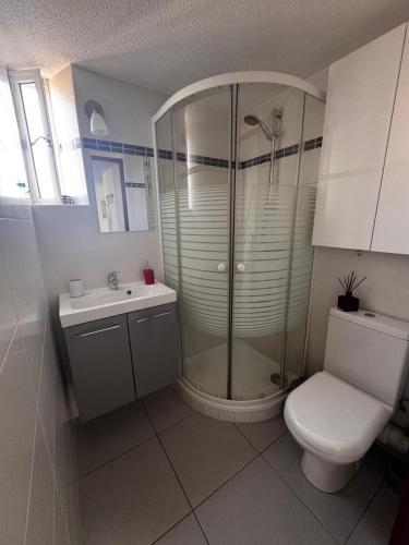 une salle de bain avec une douche, des toilettes et un lavabo dans l'établissement Tout cosy à 200 m de la plage, à Argelès-sur-Mer