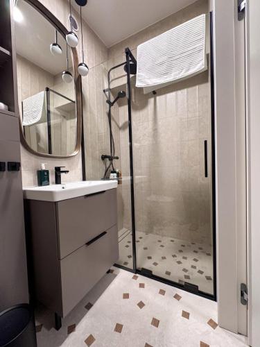 a bathroom with a shower and a sink at Mavrin Home Zagreb, free parking, 3,8km from Old Town, Breakfast in Zagreb