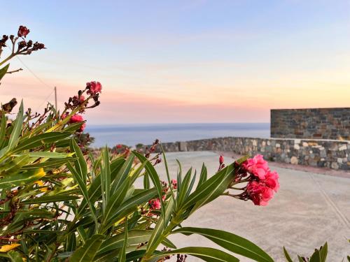 Phong cảnh thiên nhiên gần biệt thự