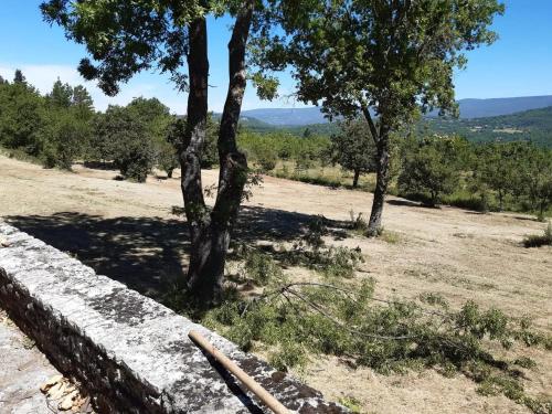 a tree in a field next to a wall at Villa spacieuse avec jardin à Saignon in Saignon