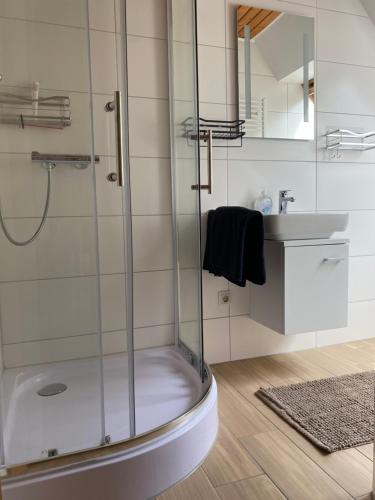 ein Badezimmer mit Dusche und Waschbecken in der Unterkunft Großzügige Ferienwohnung zwischen Bremen und Hamburg in Alfstedt