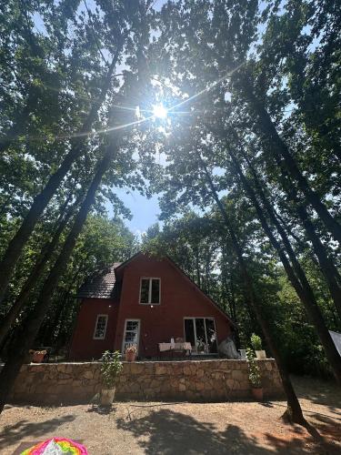 Forest Villa, Gjilan - Nature, Comfort & Privacy