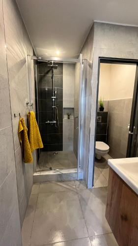 a bathroom with a shower and a toilet at Jako doma in Ivaň