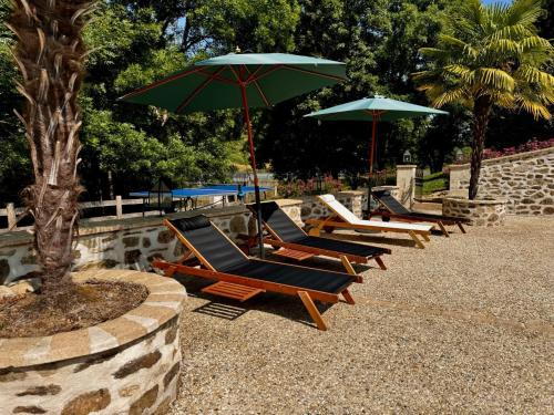 a row of lounge chairs with umbrellas in a park at Domaine de Brise Bois - Chambres & Gîtes in Rouzède