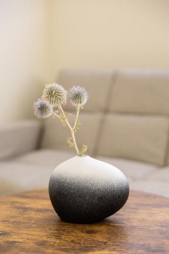 a black vase with a plant in it on a table at Hana Apart-hotel in Sarandë
