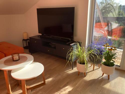 sala de estar con macetas y TV de pantalla plana en Sunset Apartment, en Viljandi