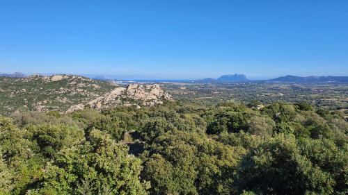 an aerial view of a forest of trees and mountains at Belvedere Country House in Enas