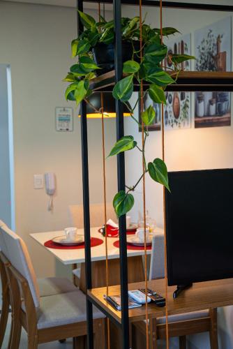 a plant on a stand next to a table at Alvorada do Lago - A melhor hospedagem de Umuarama in Umuarama