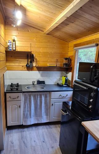 a kitchen with a sink and a microwave at Charmant chalet en bois - Ardèche in Joyeuse