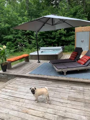 Gambar di galeri bagi Tranquility at the edge of the woods- Hot Tub di Rawdon
