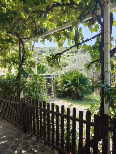 Zahrada ubytování That's Amore Cilento Country House