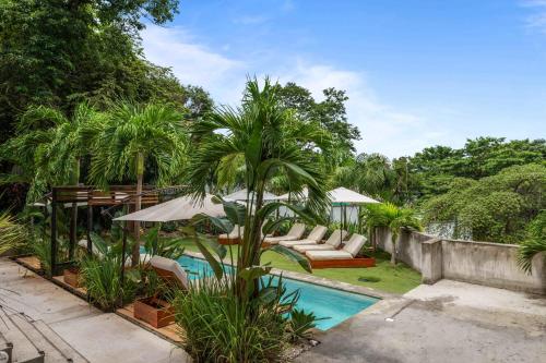 a house with a swimming pool with a palm tree at L'Avventura in Tamarindo