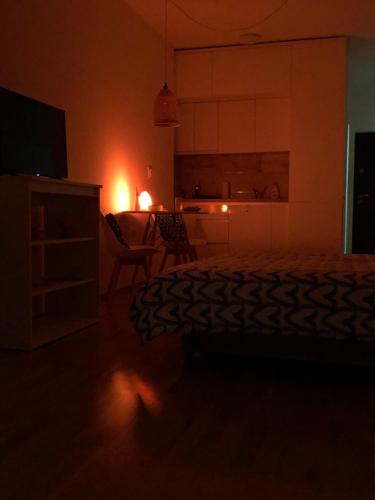 a dark room with a bed and a kitchen at Tesla 30 in Kruševac