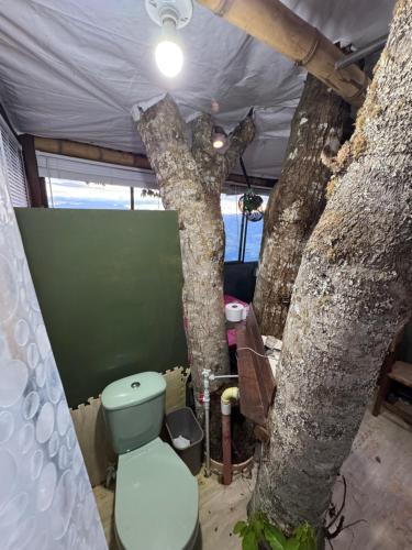 - une salle de bains avec un arbre à côté des toilettes dans l'établissement Finca turística Villa Carolina, à Sabaletas