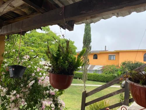 a garden with potted plants hanging from a pergola at Villa Sofia in Tlatlauquitepec