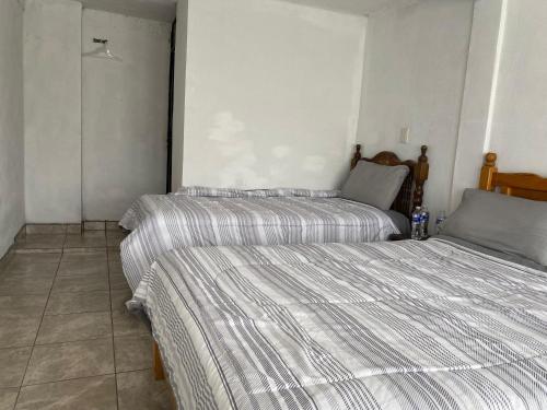 a bedroom with two beds in a room at Villa Sofia in Tlatlauquitepec