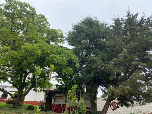 a small house between two trees in a yard at Villa Sofia in Tlatlauquitepec