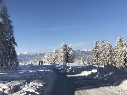 a road covered in snow with trees and mountains at Holiday apartment with 2 bedrooms in Zirkitz