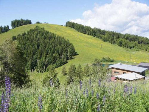 a house on the side of a green hill at Holiday apartment with 2 bedrooms in Zirkitz