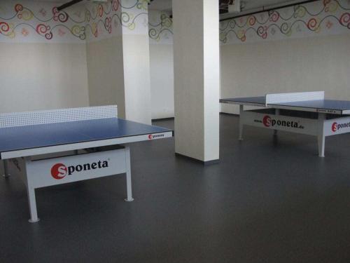 two ping pong tables sitting in a room at Holiday apartment with 3 bedrooms in Zirkitz