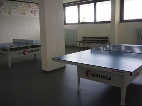 three ping pong tables in a room with windows at Holiday apartment with 3 bedrooms in Zirkitz