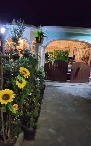 ポートモアにあるSunflower Placeの中庭の花束