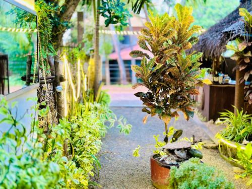 Jardín al aire libre en Rekawa Turtle Gate Hotel