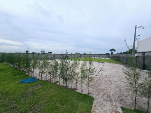 a row of trees behind a fence at Casa BoxHome em Santo Amaro-MA in Santo Amaro
