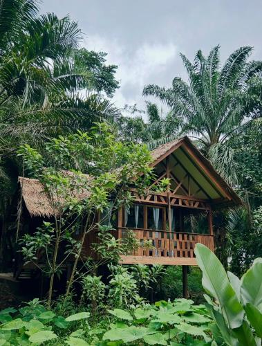 a small house in the middle of a forest at Khao Sok Paradise Resort in Khao Sok National Park