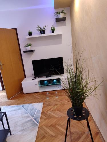 a living room with a flat screen tv on a wall at Apartman Stay 23 in Smederevo