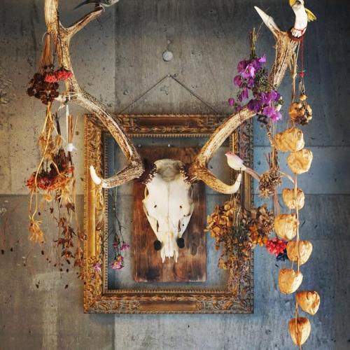 a picture of a deer skull in a frame at Hotel UNTEN INN in Nago