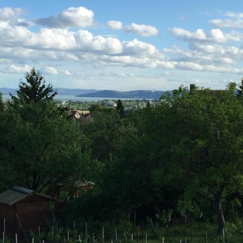 a view of trees and the ocean in the distance at Haus Kristina in Csopak