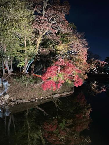 a group of trees on the side of a body of water at HIKONE-Step 彦根ステップ 彦根駅徒歩4分 軽自動車用無料駐車場 彦根城徒歩15分 15名まで 戸建貸切 in Hikone