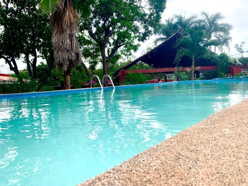 a swimming pool with two flamingos in the water at Quinta YaaxBe in Homún