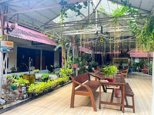 Сад в RedDoorz at Hotel Tampiarto Probolinggo Jawa Timur