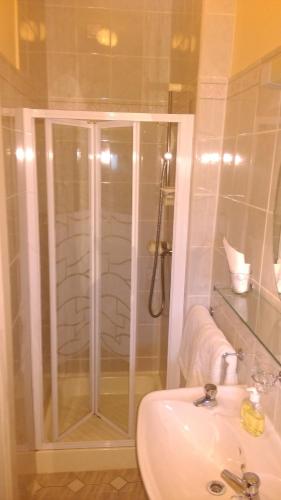 a bathroom with a shower and a sink at Gortnaboul House in Kilgarvan