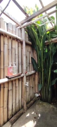 a wooden wall with a plant in a greenhouse at Tribu Kihud "Experience Simple Living" in Siquijor