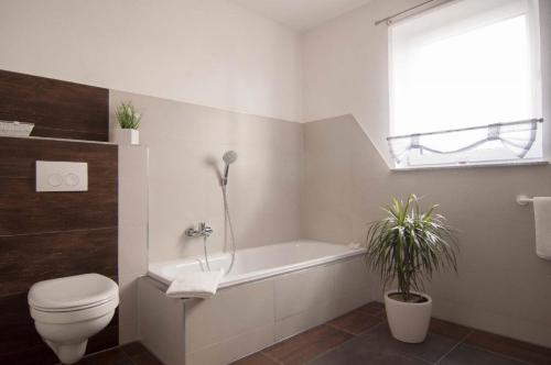 a bathroom with a toilet and a tub and a window at Komfortable Apartment-Wohnung in Fulda