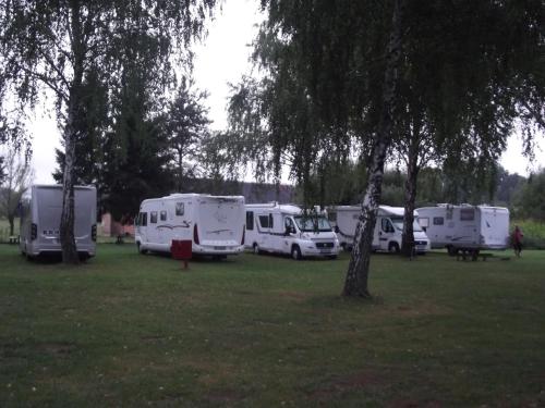a group of camels parked in a field at Nyírfás Camping in Nagykanizsa